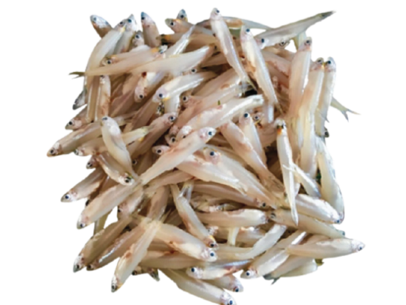 fish_kaksi